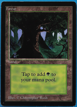 Forest (C Dark Tree) Beta PLD Basic Land MAGIC MTG CARD (ID# 505239) ABUGames - Image 1