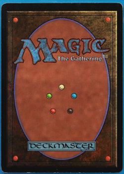 Forest (C Dark Tree) Beta PLD Basic Land MAGIC MTG CARD (ID# 505239) ABUGames - Image 2