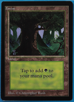 Forest (C Dark Tree) Beta PLD Basic Land MAGIC MTG CARD (ID# 505236) ABUGames - Image 1