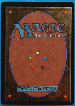 Forest (C Dark Tree) Beta PLD Basic Land MAGIC MTG CARD (ID# 505236) ABUGames - Image 2