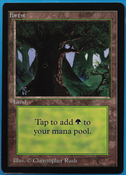 Forest (C Dark Tree) Beta PLD Basic Land MAGIC MTG CARD (ID# 505237) ABUGames - Image 1