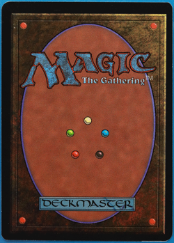 Forest (C Dark Tree) Beta PLD Basic Land MAGIC MTG CARD (ID# 505237) ABUGames - Image 2