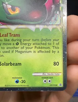 Meganium Prime ~ Black Star Promo HGSS08 ~ Holo Pokemon Card ~ LP/Excellent - Image 5