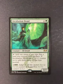 Incubation Druid - Ravnica Allegiance - Magic the Gathering - MTG - Image 1