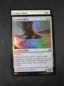 MTG - Tempest Hawk X2 - Free P+P - Image 1