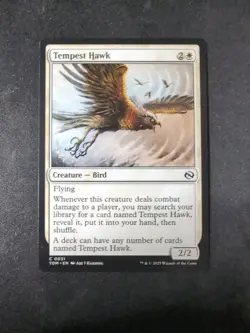 MTG - Tempest Hawk X2 - Free P+P - Image 2