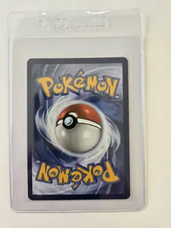 Pokemon TCG - N's Zorua SVP 189 Black Star Promo - Journey Together ETB - NM - Image 2