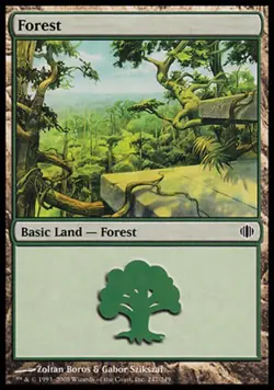 4x MTG Forest (247) - Foil, Light Play, English Shards of Alara - Image 1