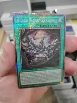 Yugioh! Black Rose Garden DOOD-EN055 STARLIGHT RARE On Hand! - Image 1