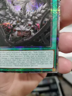 Yugioh! Black Rose Garden DOOD-EN055 STARLIGHT RARE On Hand! - Image 2