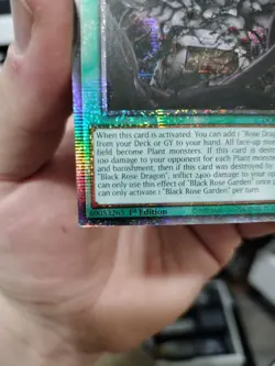 Yugioh! Black Rose Garden DOOD-EN055 STARLIGHT RARE On Hand! - Image 3