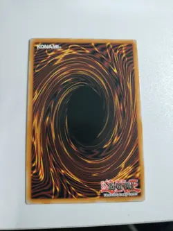 Yugioh! Black Rose Garden DOOD-EN055 STARLIGHT RARE On Hand! - Image 5