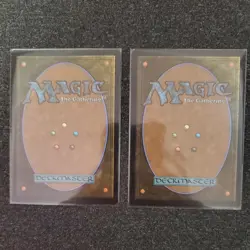 2x Case of the Locked Hothouse - Murders at Karlov Manor (MKM) NM MTG - Image 4