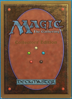 Raging River Collectors' Edition PLD (Reserved List MTG Card) (505355) ABUGames - Image 2