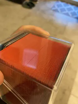 MTG: Prosper Tome-Bound - Image 3