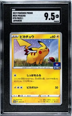 2019 Pokemon Promo #024/S-P Pikachu Gym Pack 1 SGC 9.5 - Image 1