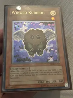 Yugioh Winged Kuriboh Ultimate Rare TLM Unlimited Edition LP - Image 2