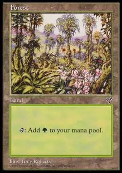 MTG: Forest - Mirage - Magic Card - Image 1