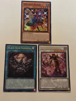 Black Rose Witch DOOD-EN040 + Black Rose Garden DOOD-EN055 Ultra Rare Yugioh Set - Image 1