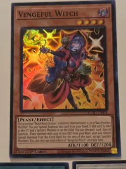 Black Rose Witch DOOD-EN040 + Black Rose Garden DOOD-EN055 Ultra Rare Yugioh Set - Image 4