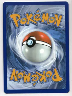 Riolu Holo 010 Black Star Pokemon Center Promo Card Near Mint NM - Image 2