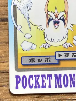 Pokemon Carddass Card Pidgey File No.16 Bandai Pocket Monsters 1997 Japan - Image 5