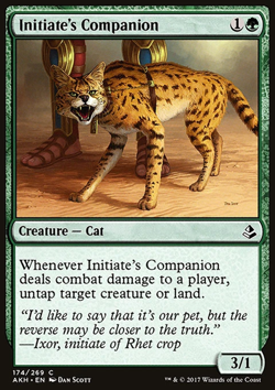 MTG: Initiate's Companion - Amonkhet - Magic Card - Image 1