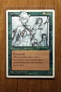 Cat Warriors Altered Art Hand Painted MTG Magic the Gathering Anime Girl - Image 1
