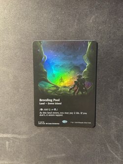 MTG: Breeding Pool 0278 (Borderless) Edge of Eternities Foil - Image 1