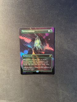 MTG: Terrasymbiosis 0312 (Borderless) Edge of Eternities Foil - Image 1