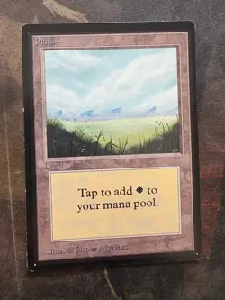 *** BETA Plains (No Trees) *** EX-NM Clean! - DUTY FREE - Magic MtG - Image 1