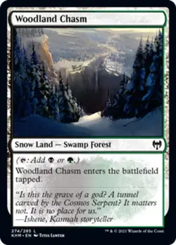 1 x Woodland Chasm - Foil - Kaldheim - NM-Mint - MTG - Image 1