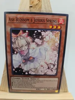 Yu-Gi-Oh! TCG Ash Blossom & Joyous Spring Near Mint Condition SDWD-EN017 - Image 1