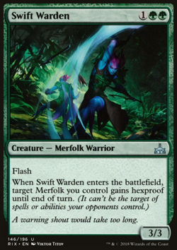 Swift Warden - Image 1