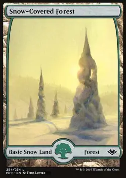 Snow-Covered Forest - Image 1