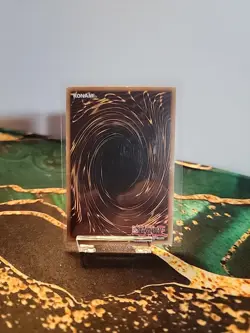 Dark Magician Girl YGLD-ENC10 King of Games: Yugi's Legendary Decks 1st (MP) - Image 2