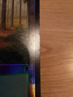 Forest - 347/350 (Odyssey) - Very Lightly Played VLP - Foil - Image 2