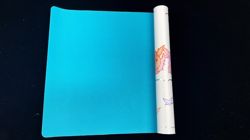 Pokemon TCG Sword & Shield Eevee Advanced Theme Card Playmat with box Sealed new - Image 3