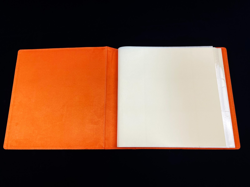 PTCG Pokemon TCG Flareon Advanced theme Sealed Binder Sleeve 480 slots Card new - Image 3