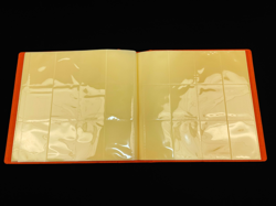 PTCG Pokemon TCG Flareon Advanced theme Sealed Binder Sleeve 480 slots Card new - Image 4