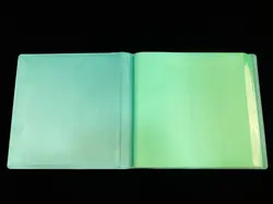 PTCG Pokemon TCG Vaporeon Advanced theme Sealed Binder Sleeve 480 slots Card - Image 3