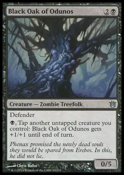 MTG: Black Oak of Odunos - Born of the Gods - Magic Card - Image 1