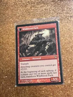 Magic The Gathering # Instigator Gang Wildbrook Park - Image 4