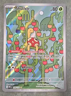 Pokemon - Shuckle #136/132 Illustration Rare - Mega Evolution - NM 🔥 - Image 1