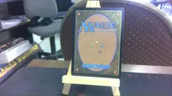 endurance special guest mtg - Image 2