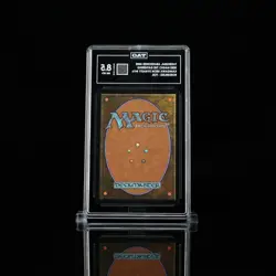 MTG, Takenuma, Abandoned Mire, Kamigawa: Neon Dynasty (Borderless, Foil, Rare) - Image 3