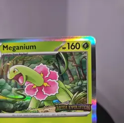 Meganium 001 - ME: Mega Evolution Prerelease Stamped Promo Holo Pokemon Mint - Image 5