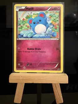 MARILL - 76/114 Steam Siege NM - Regular Common - Pokemon TCG Card - Image 1