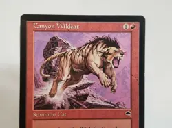 MTG Canyon Wildcat Tempest Regular Common Magic - Image 2