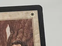 MTG Anoint Tempest Regular Common Magic - Image 3